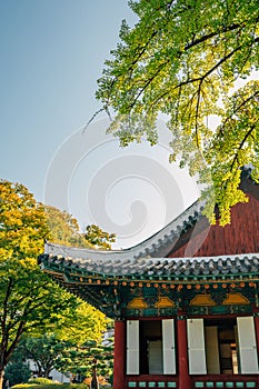 Korean traditional architecture of Gyeongsang-gamyeong park in Daegu, Korea