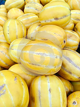 Korean Yellow Melons