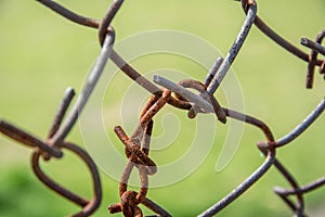 Korosing wire net photo