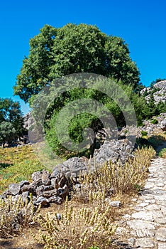 At the foothills of mount Dikaios, Island Kos, Greece