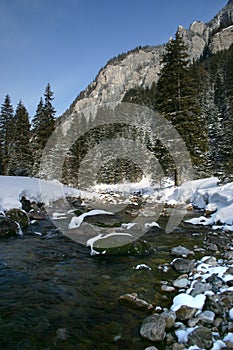 Koscieliska Valley