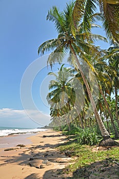 Kosgoda beach,Sri Lanka