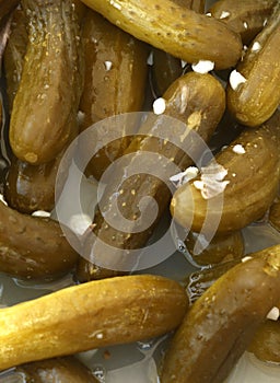 Kosher dill pickles in a barrel
