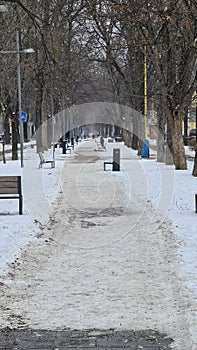 Kosice stare mesto Slovakia February 17 2021 a park during winter season