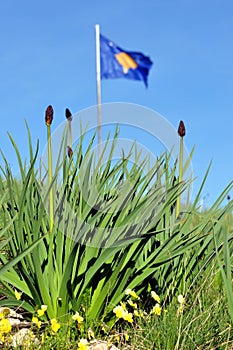 Kosovo blue and yellow national flag in background