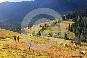 Kostrycha Mount Trail. Carpathians. Ukraine. Colorful autumn in the Carpathian mountains