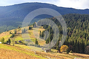 Kostrycha Mount Trail. Carpathians. Ukraine. Colorful autumn in the Carpathian mountains