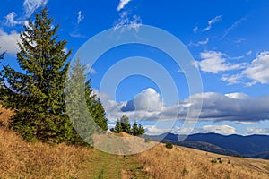 Kostrycha Mount Trail. Carpathians. Ukraine. Colorful autumn in the Carpathian mountains