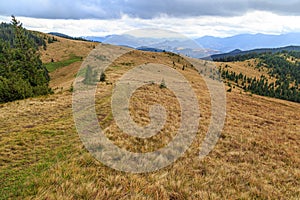 Kostrycha Mount Trail. Carpathians. Ukraine. Colorful autumn in the Carpathian mountains