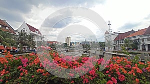 Kota tua, kota tua view, flowers, panorama of kota tua, hyperfocal