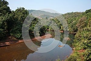 Kotjai river surrounded by dense forest, Dapoli, Konkan