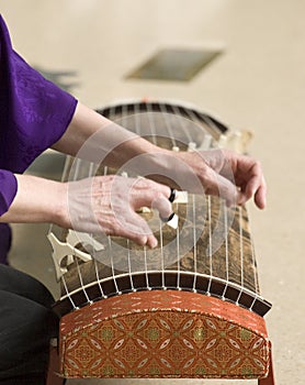 Koto Player