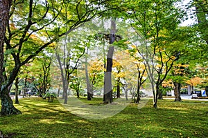 Kotoji Lantern in Kenrokuen garden