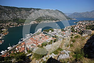 Kotor