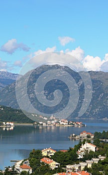 Kotor