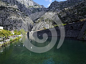 Kotor cyr. ÐšÐ¾Ñ‚Ð¾Ñ€, Italian. Cattaro - a port city in the south-western part of Montenegro. Located on the Bay of Kotor, at the