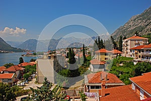 Kotor Housing Area