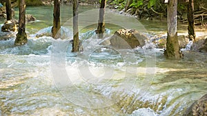 Kouang Si Waterfall, Laos, Luang Prabang. Water pours over calcareous soil between the tree trunks