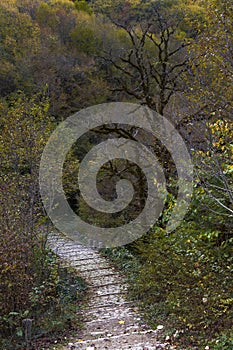 Kouiasa Bridge in Autumn.