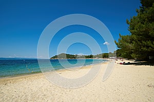Koukounaries , the world-famous beach of the island of Skiathos in Greece