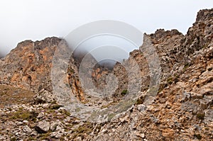 The Kourtaliotiko Gorge, detail. Crete, Greece.