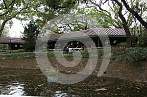 Kowloon Park covered corridor garden