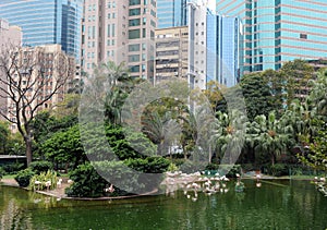 Kowloon Park and Hong Kong Skyline