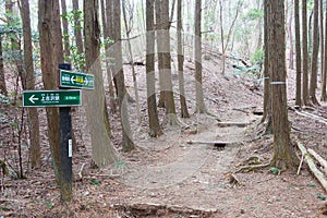 Koyasan choishi-michi in Kudoyama, Wakayama, Japan. It is part of the