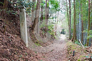 Koyasan choishi-michi in Kudoyama, Wakayama, Japan. It is part of the