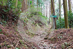 Koyasan choishi-michi in Kudoyama, Wakayama, Japan. It is part of the