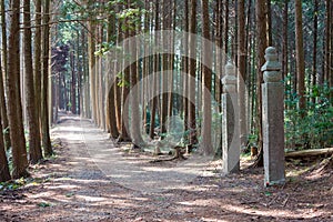 Koyasan choishi-michi in Kudoyama, Wakayama, Japan. It is part of the