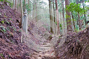 Koyasan choishi-michi in Kudoyama, Wakayama, Japan. It is part of the