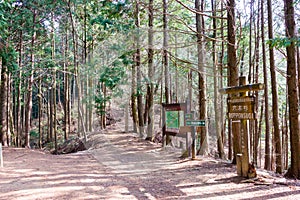 Koyasan choishi-michi in Kudoyama, Wakayama, Japan. It is part of the