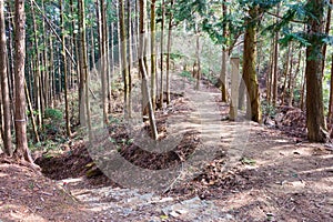 Koyasan choishi-michi in Kudoyama, Wakayama, Japan. It is part of the