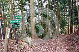 Koyasan choishi-michi in Kudoyama, Wakayama, Japan. It is part of the