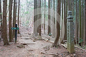 Koyasan choishi-michi in Kudoyama, Wakayama, Japan. It is part of the