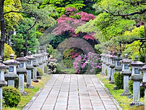 Koyasan patth with stone lanterns