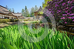 Koyasan temple