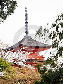 Koyasu Pagoda through Sakura trees, Kyoto, Japan