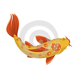 Koyo japanese fish, bright beautiful water symbol