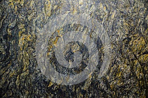 Kozmus granite natural stone tile pattern in abstract color, close up.