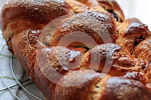 Kozunak - traditional Easter bread in Bulgaria. Kozunak Kozunak - traditional Easter bread in Bulgaria. Kozunak is a sweet ritual