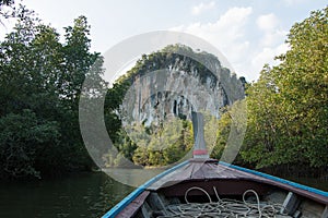 Krabi Mangroves,Thailand