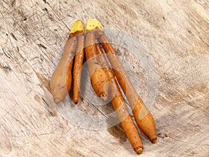 Krachai root