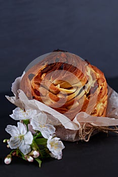 Kraffin on a gray background