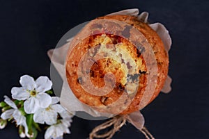 Kraffin on a gray background