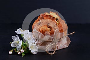 Kraffin on a gray background