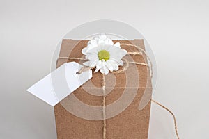 Kraft box with empty label, gift package, living flower, white cardboard label with thin rope cord