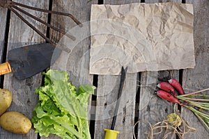 Kraft paper for your text surrounded by garden hand tools and a summer harvest, top view