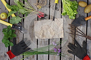 Kraft paper for your text surrounded by many garden hand tools and a summer harvest